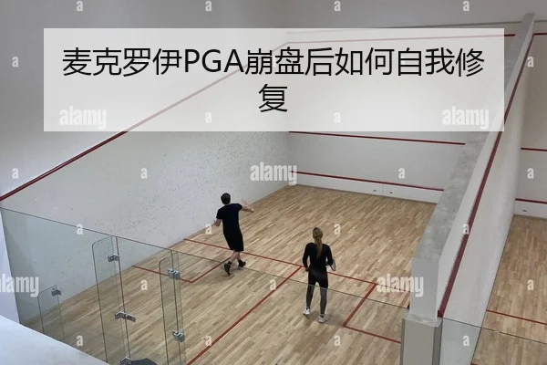 麦克罗伊PGA崩盘后如何自我修复